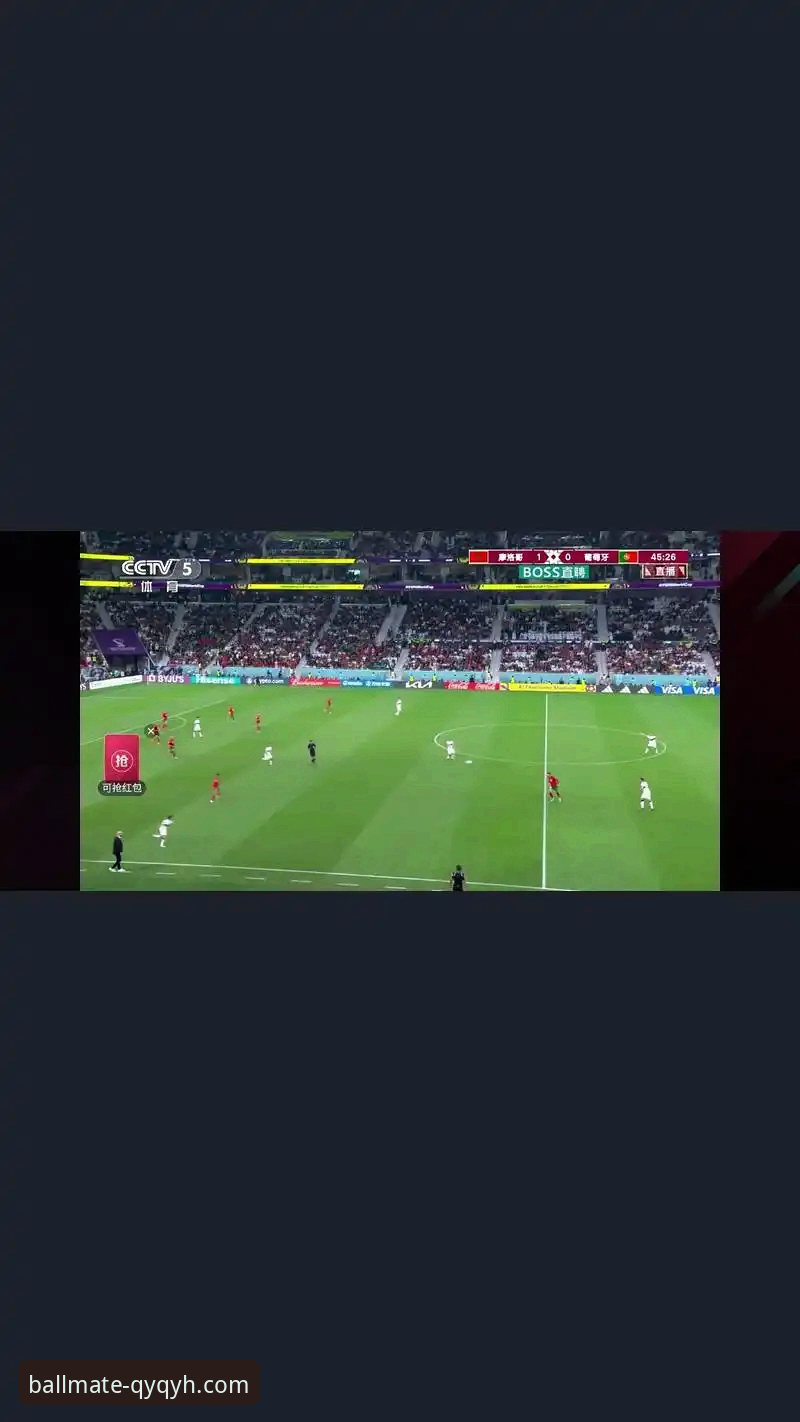 千亿球友会App下载与核心使用技巧全面评测：从安装到精通