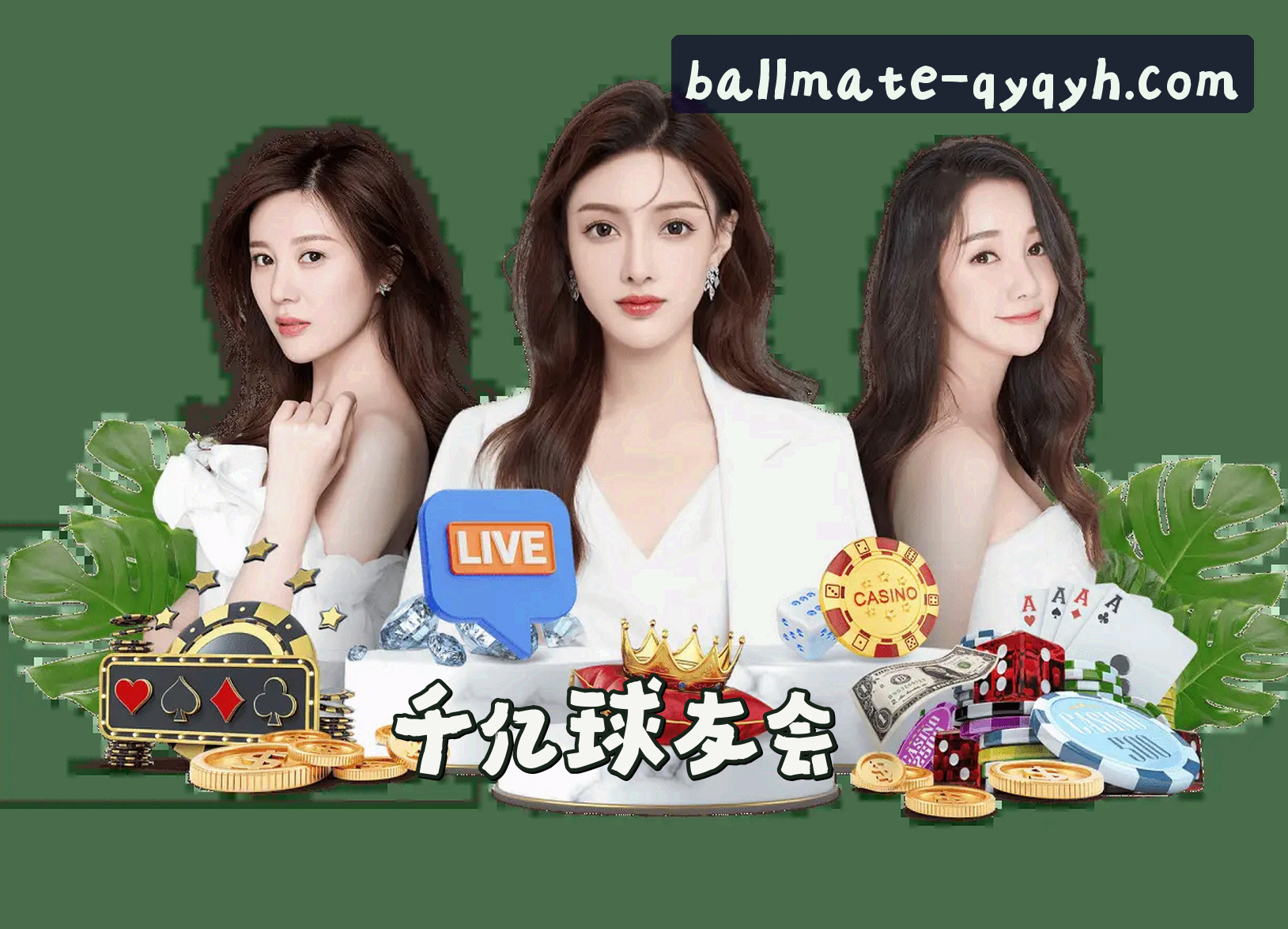 关于我们关于我们