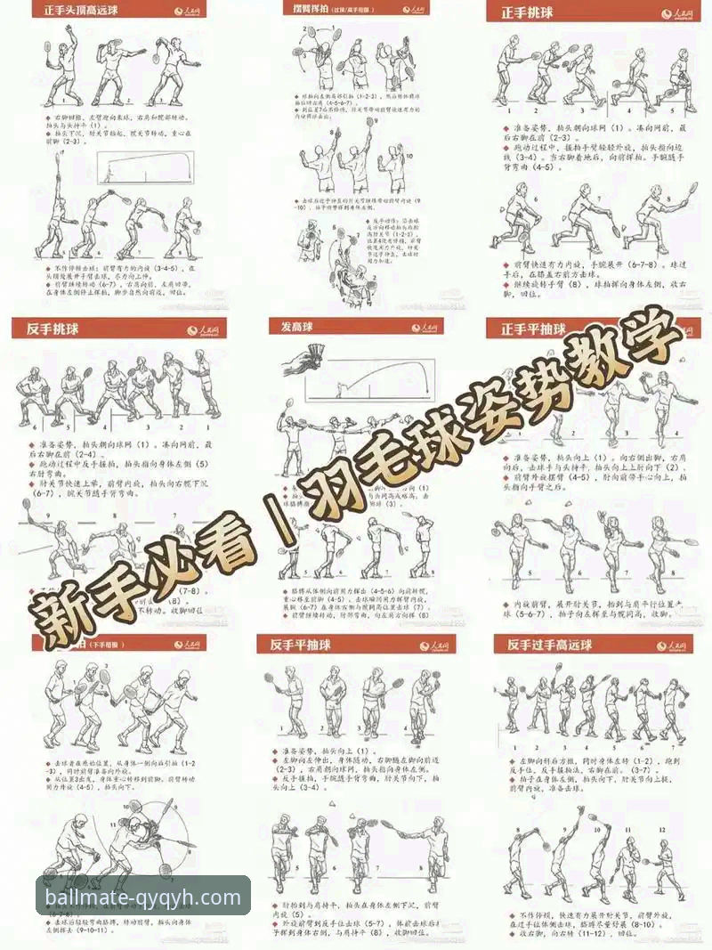 千亿球友会实用指南：从入门到精通的完整操作技巧